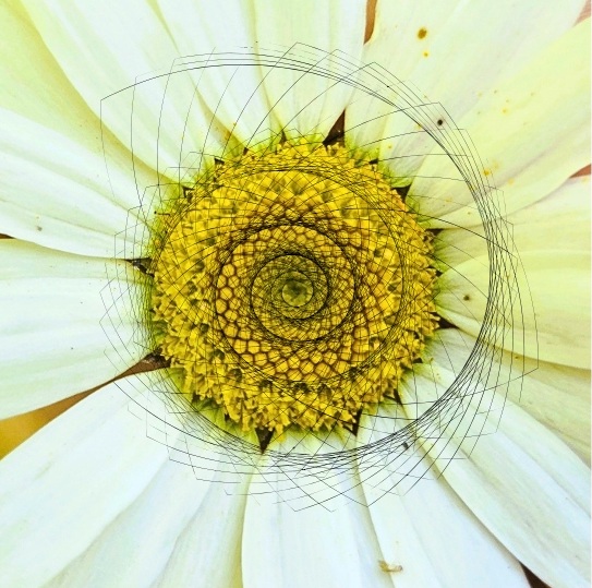 sacred spirals